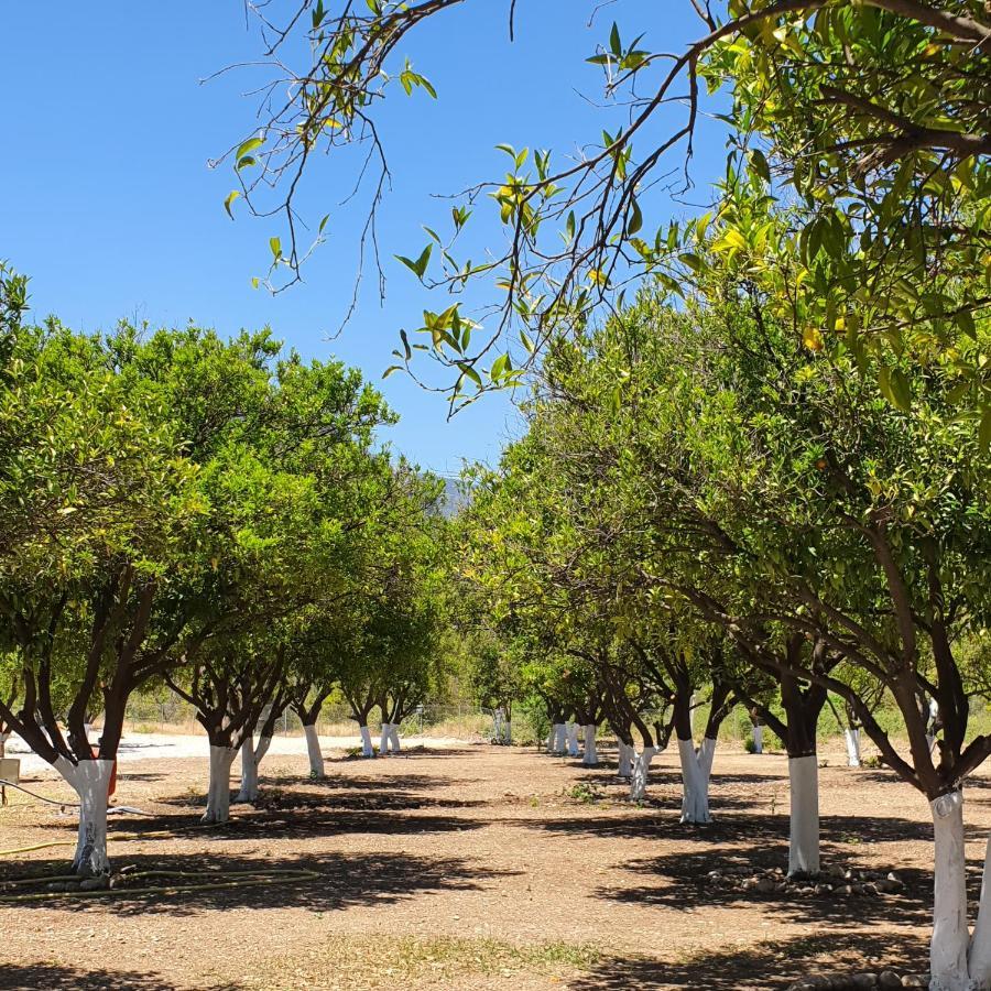 Orange Beach Camp بيلديبي المظهر الخارجي الصورة